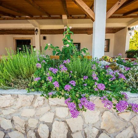 Apartments Galeb Blace Ngoại thất bức ảnh